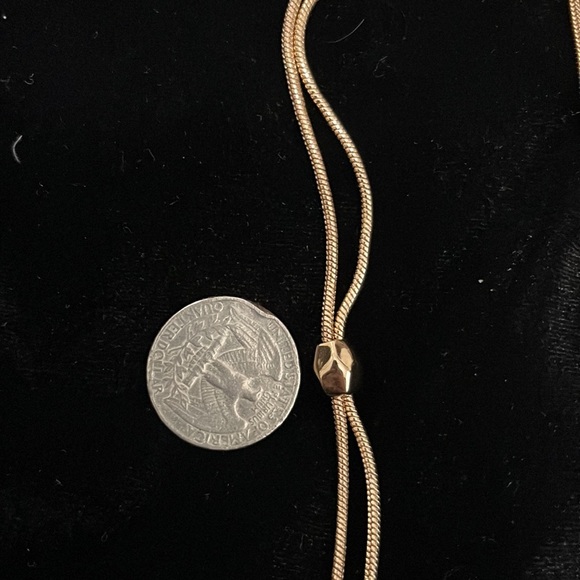 Max Zoe Long Chain Lariat Necklace - Picture 8 of 10